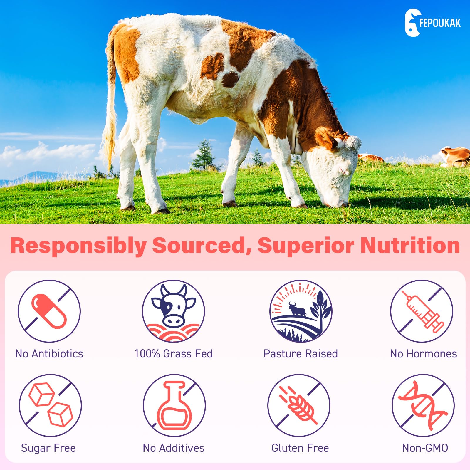 Fepoukak Pancreas – apport nutritionnel ciblé pour énergie et digestion.