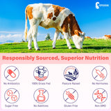 Fepoukak Pancreas – apport nutritionnel ciblé pour énergie et digestion.