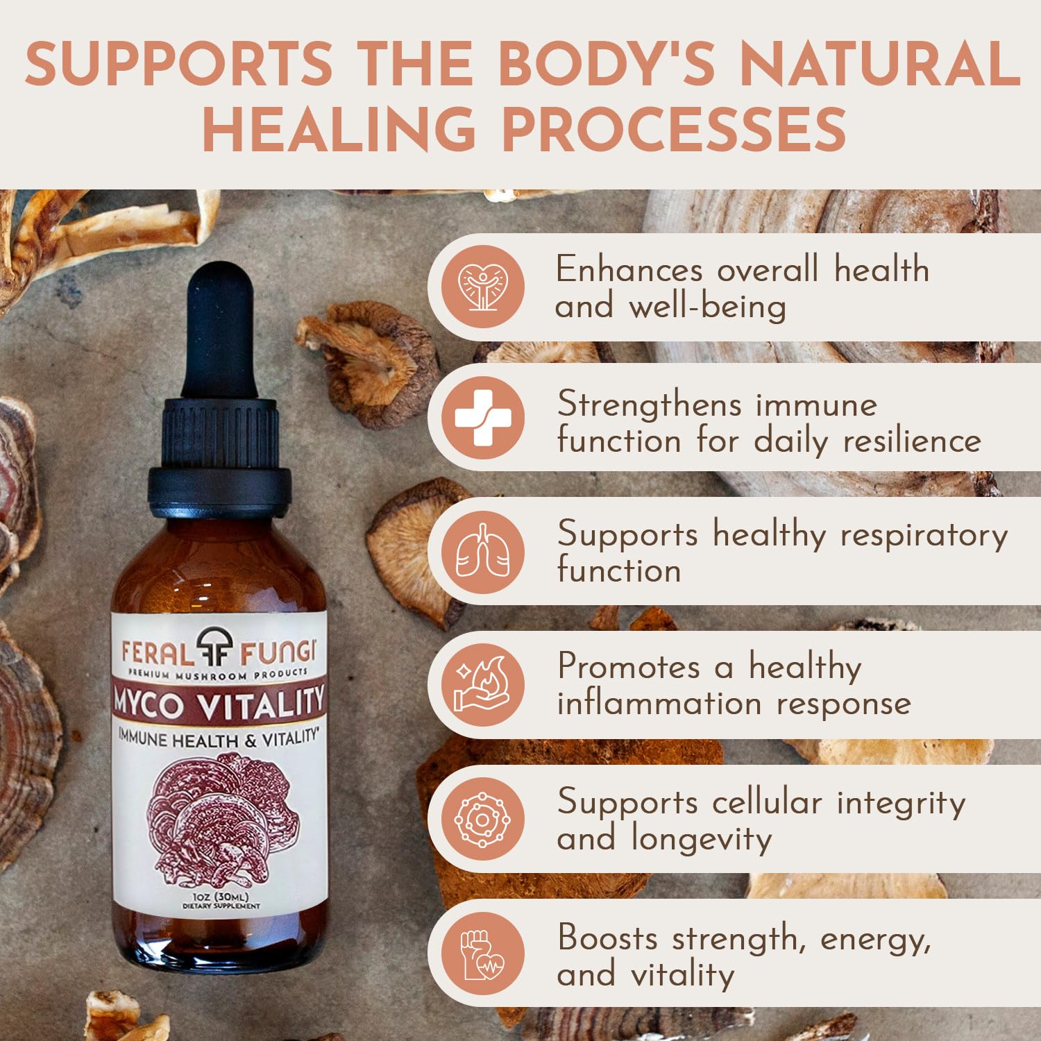 Feral Fungi Myco-Vitalité Tincture, corps fructifiant – sans additifs.