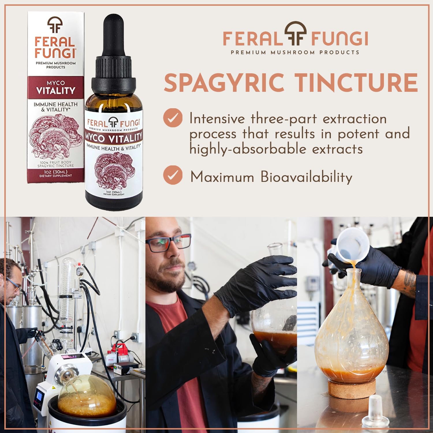 Feral Fungi Myco-Vitalité Tincture, fabrication artisanale en Oregon.