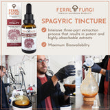 Feral Fungi Myco-Vitalité Tincture, fabrication artisanale en Oregon.