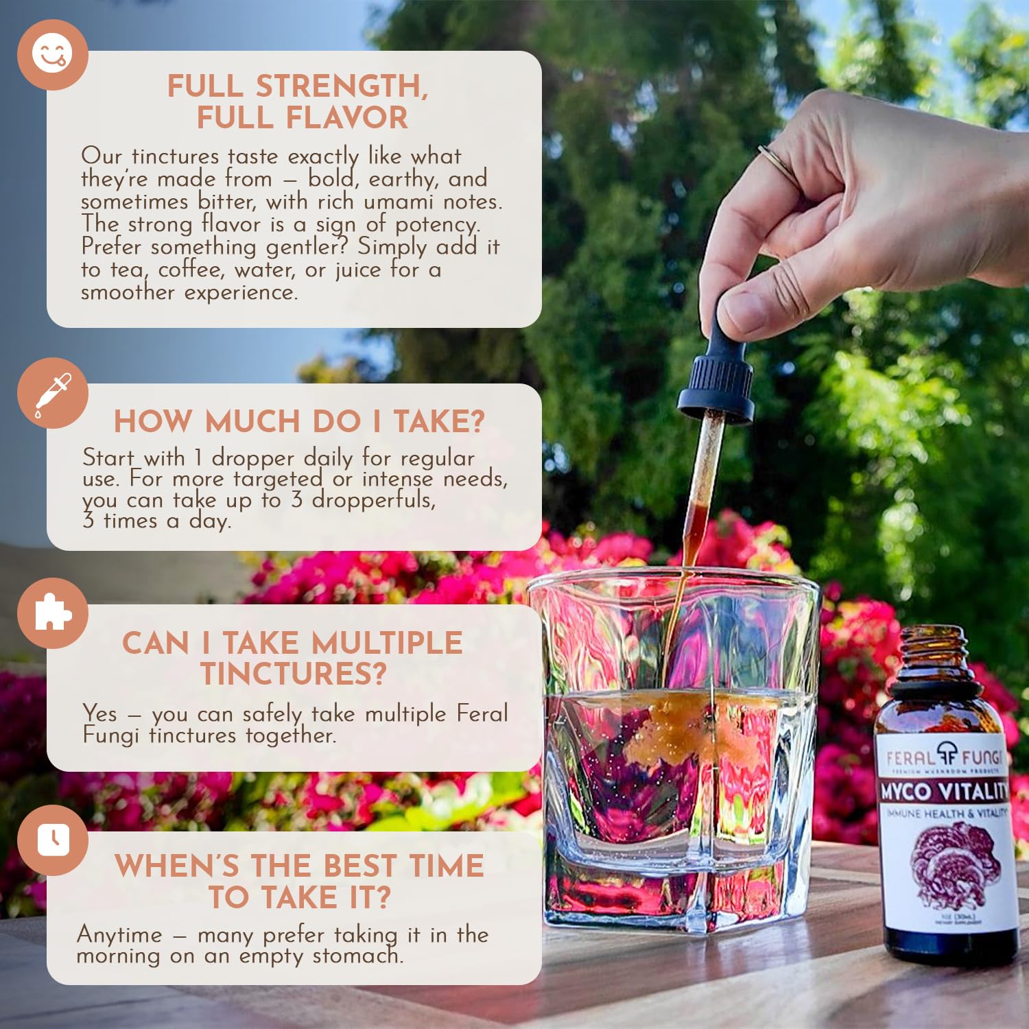 Feral Fungi Myco-Vitalité Tincture, emballage écologique – choix durable.