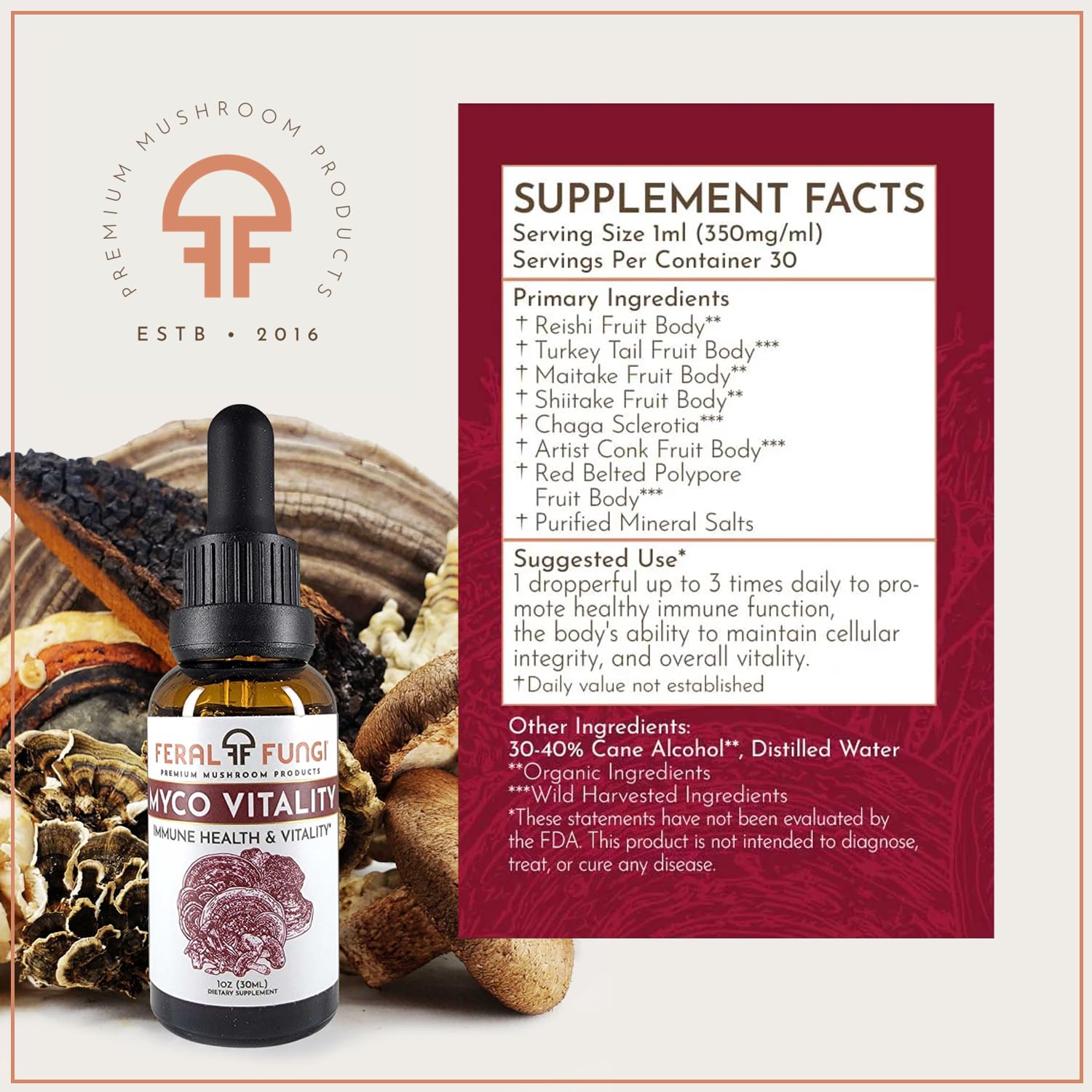 Feral Fungi Myco-Vitalité Tincture, sept champignons – mélange pour soutien quotidien.