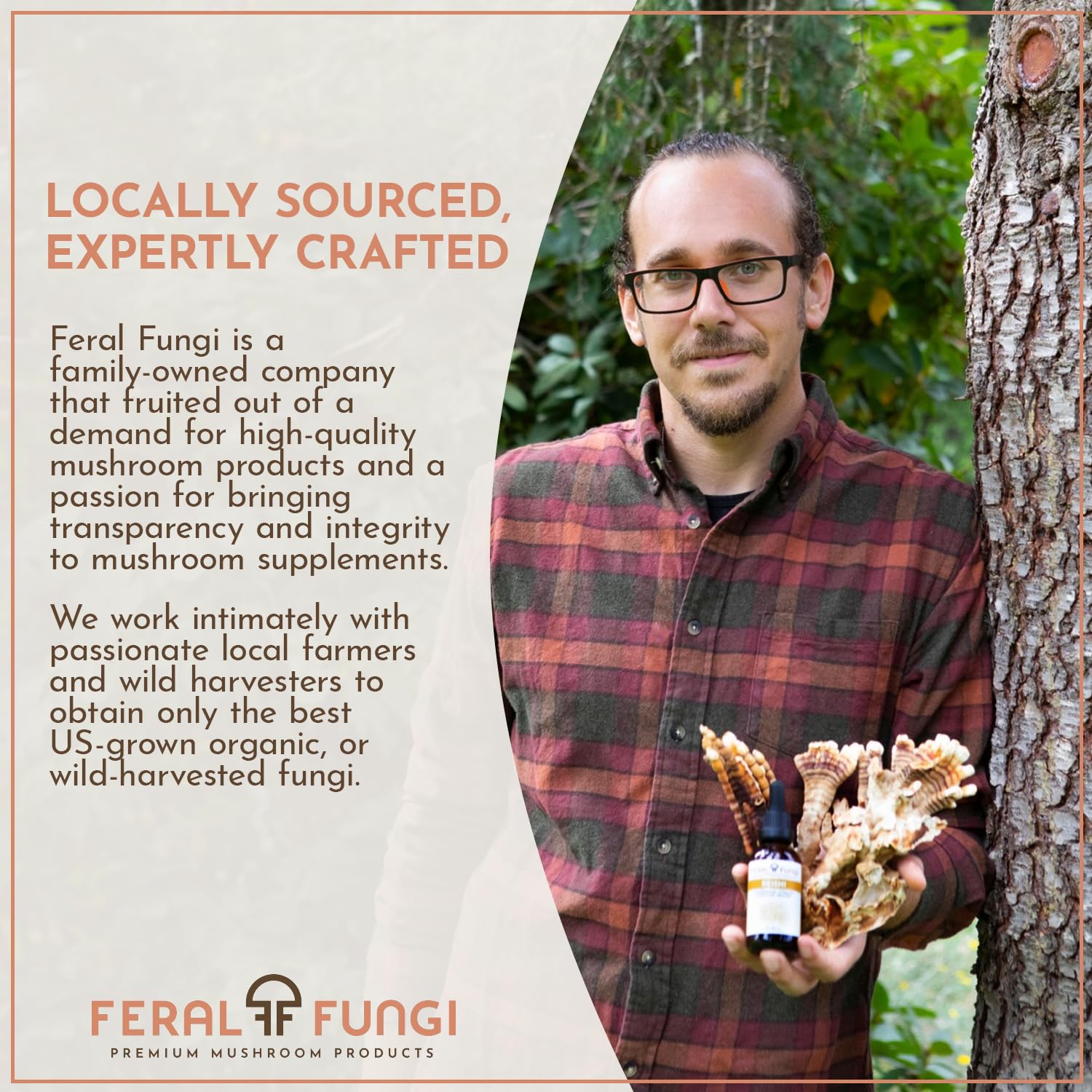 Feral Fungi Myco-Vitalité Tincture, goût naturel – idéal ajouté au thé.