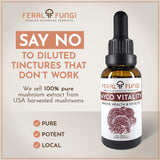 Feral Fungi Myco-Vitalité Tincture, triple extraction – extrait pur et concentré.