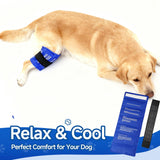 fevbcnrj pack-gel-chien-reutilisable: pratique pour les soins et le repos