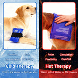 fevbcnrj sangle-ajustable dos-chien: fixation flexible pour le dos