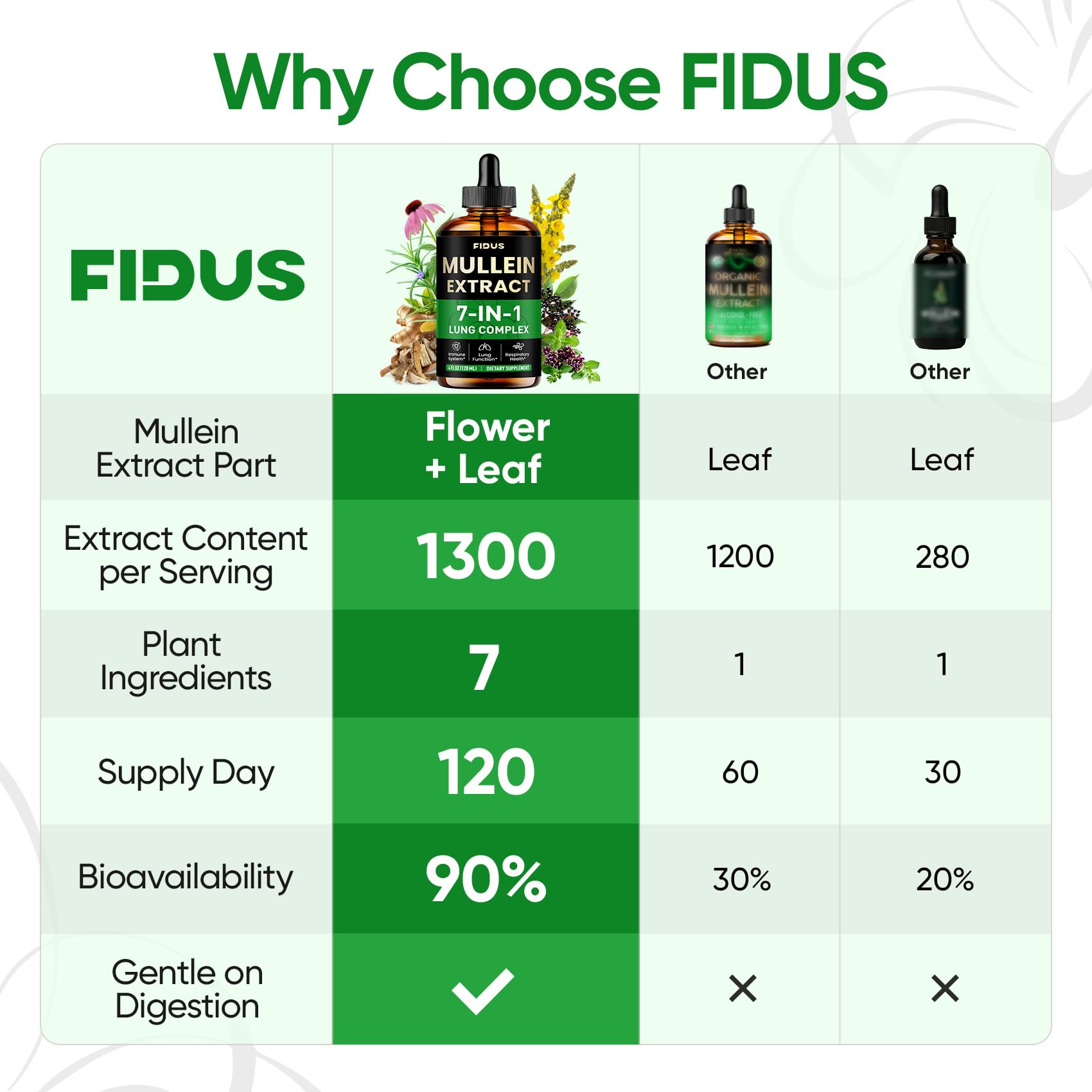 Gouttes Fidus – herbes sept ingrédients : détox légère et revitalisante.