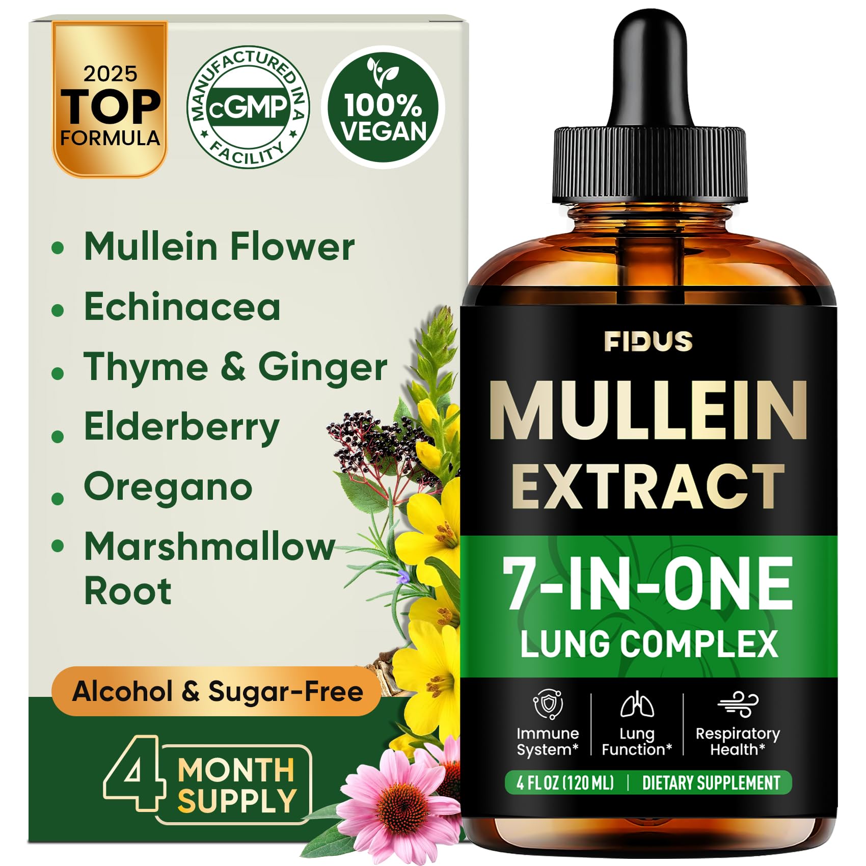 Gouttes Fidus Mullein – poumons : soutien naturel des voies respiratoires.