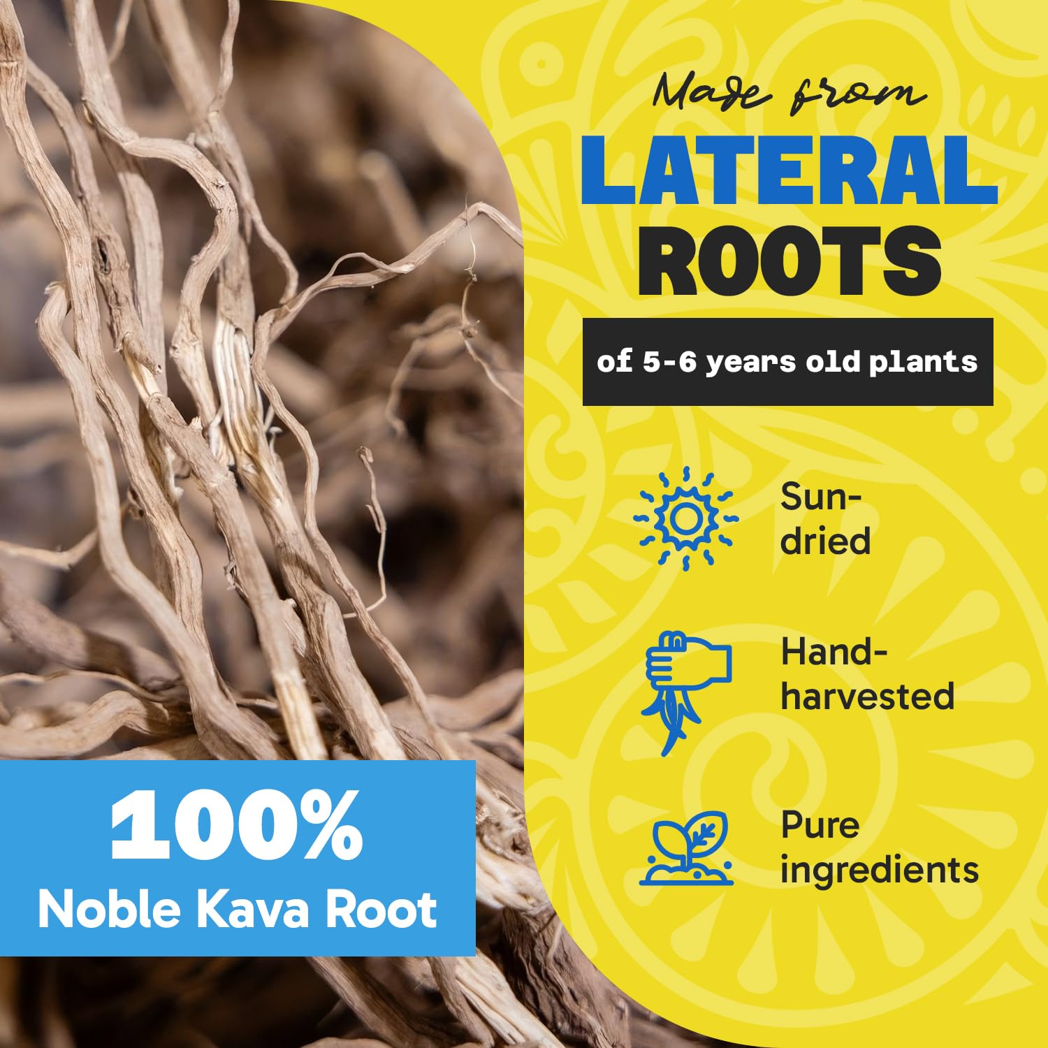 Fiji Vanua Kava Poudre Vanuatu – teneur élevée en kavalactones pour relaxation potentielle.