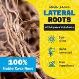 Fiji Vanua Kava Poudre Vanuatu – teneur élevée en kavalactones pour relaxation potentielle.