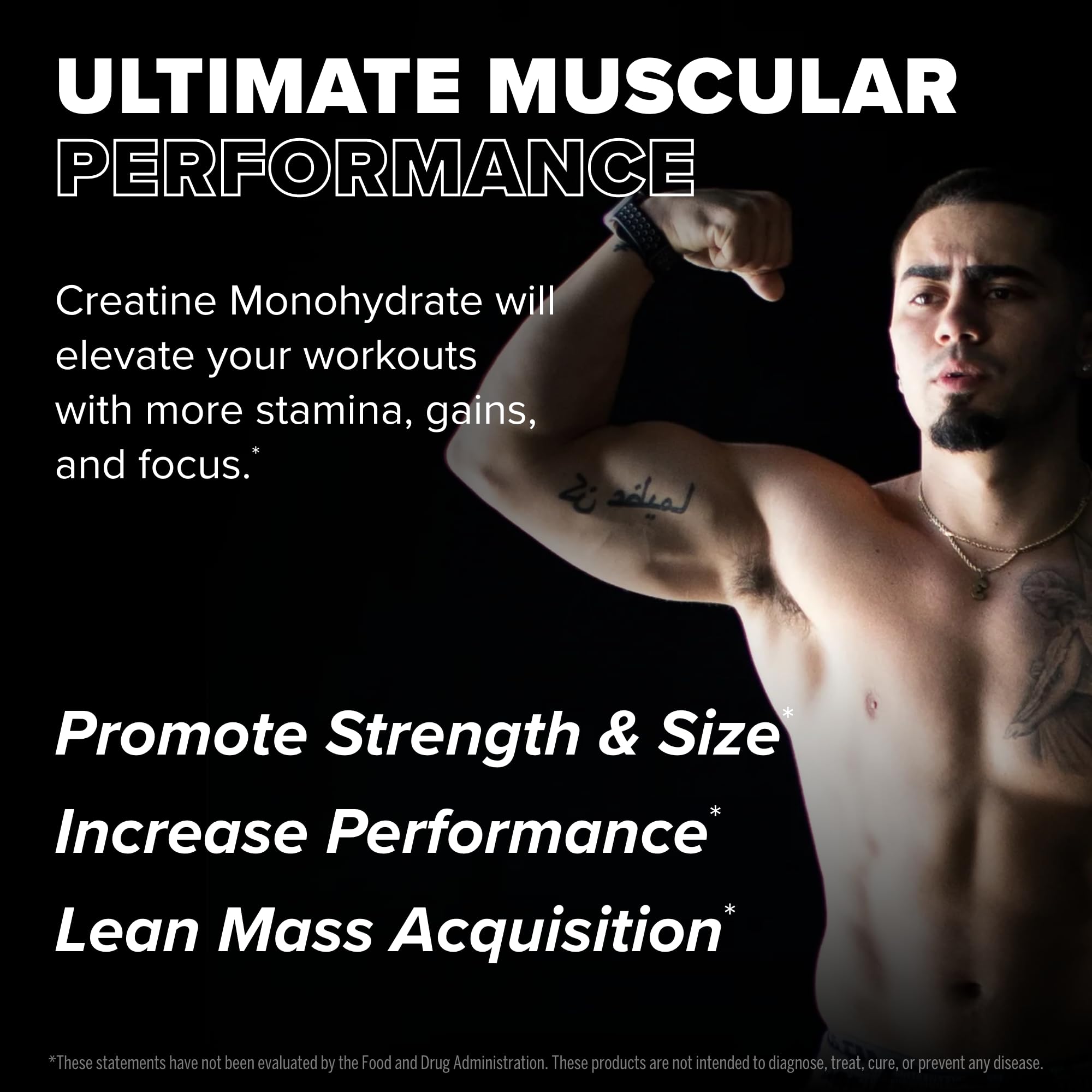 Soutien musculaire potentiel avec FINAFLEX Créatine lors d’entraînements intensifs.