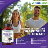 FineLand Capsules Extrait pépins raisin – prise aisée avec un verre d'eau.