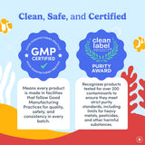 Gommes FIRST DAY – contient Bacillus coagulans SNZ 1969 pour soutien potentiel.