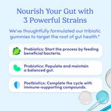 Gummies FIRST DAY dose quotidienne, pratique et rapide