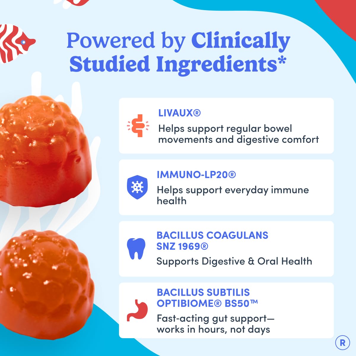 Probiotique Bacillus coagulans SNZ 1969 dans les gummies FIRST DAY.