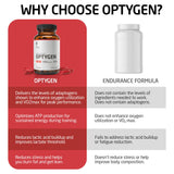FIRST ENDURANCE OPTYGEN – Emballage et etiquette clairs avec informations sur les ingredients.