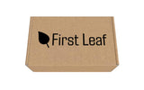 First Leaf G Zero boîtes sachets saveur orange, boisson légère et hypocalorique pour le sport.