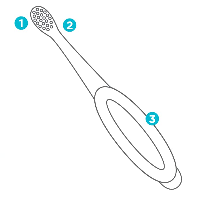Fisher-Price tête brosse petite et adaptée dents naissantes.