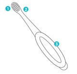 Fisher-Price tête brosse petite et adaptée dents naissantes.
