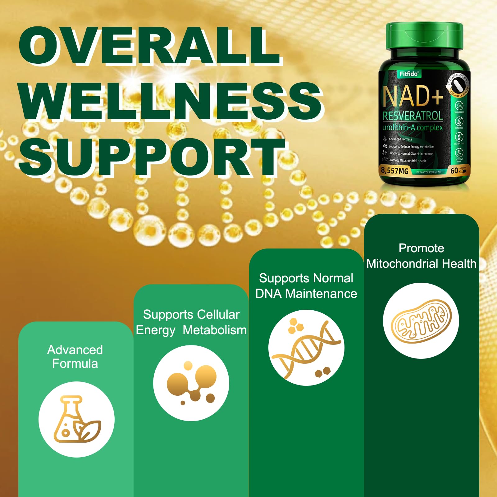 Fitfido absorption liposomale – meilleure assimilation des nutriments clés.