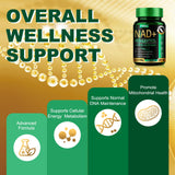 Fitfido absorption liposomale – meilleure assimilation des nutriments clés.