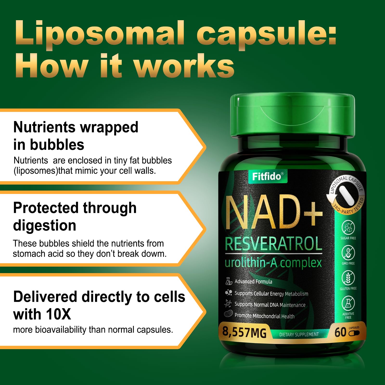 Fitfido maintien ADN – resvératrol et CoQ10 pour un usage quotidien.