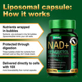 Fitfido maintien ADN – resvératrol et CoQ10 pour un usage quotidien.