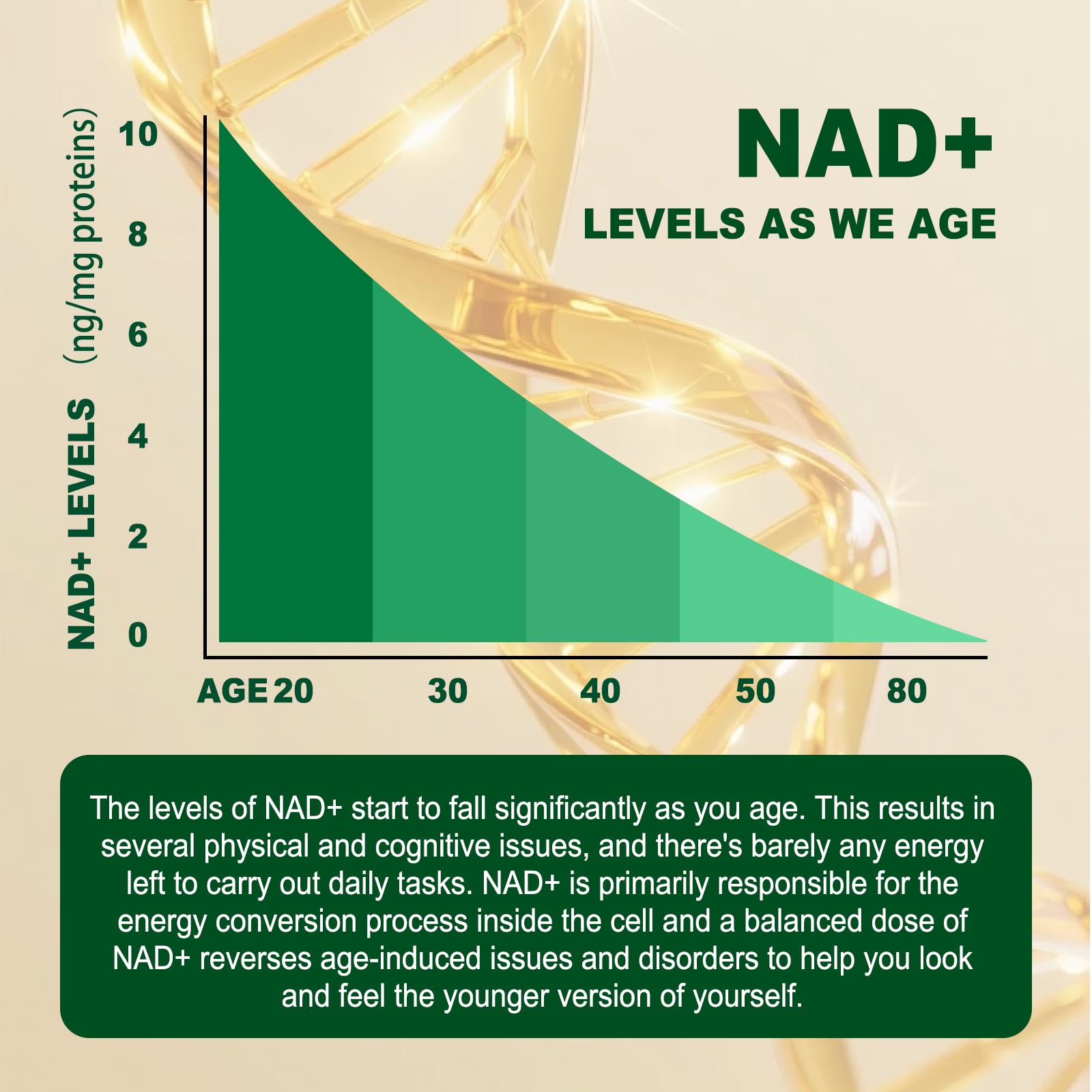 Fitfido énergie cellulaire – soutien potentiel du métabolisme énergétique.