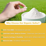 Bouteille Fitfido MSM 180 capsules — format pratique pour routine durable.