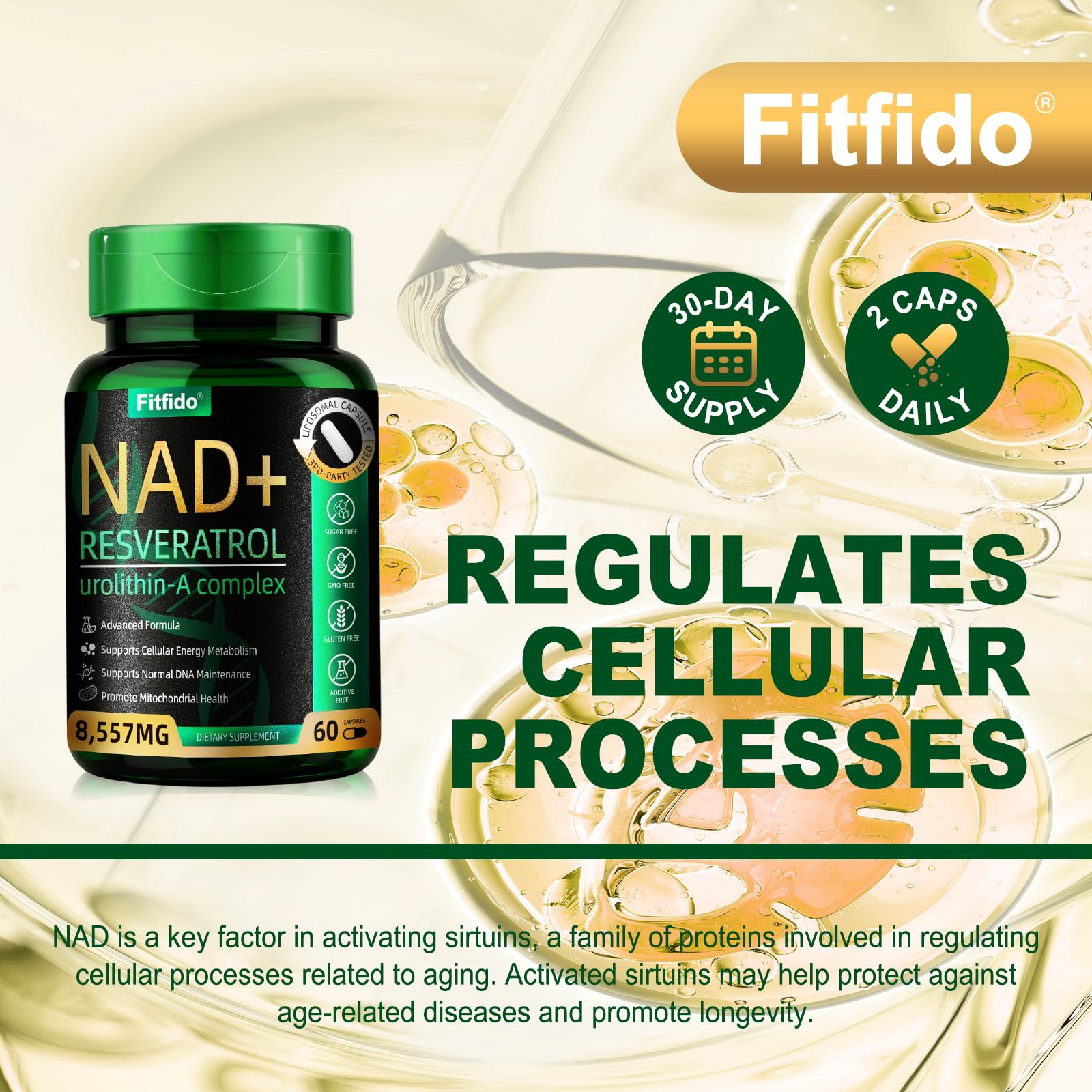 Fitfido usages quotidiens – complément utile dans une routine bien‑être.