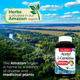 Étiquette FITO MEDIC'S L-CARNITINE, repérage rapide des informations essentielles.