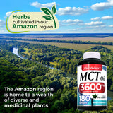 FITO MEDIC'S Lab extrait concentré MCT pour énergie soutenue.
