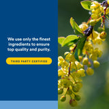 Flacon WellBetX Berberine sur étagère – accessoire pratique pour routine santé