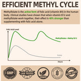 Fleamart L-Méthylfolate étiquette: emballage clair et information