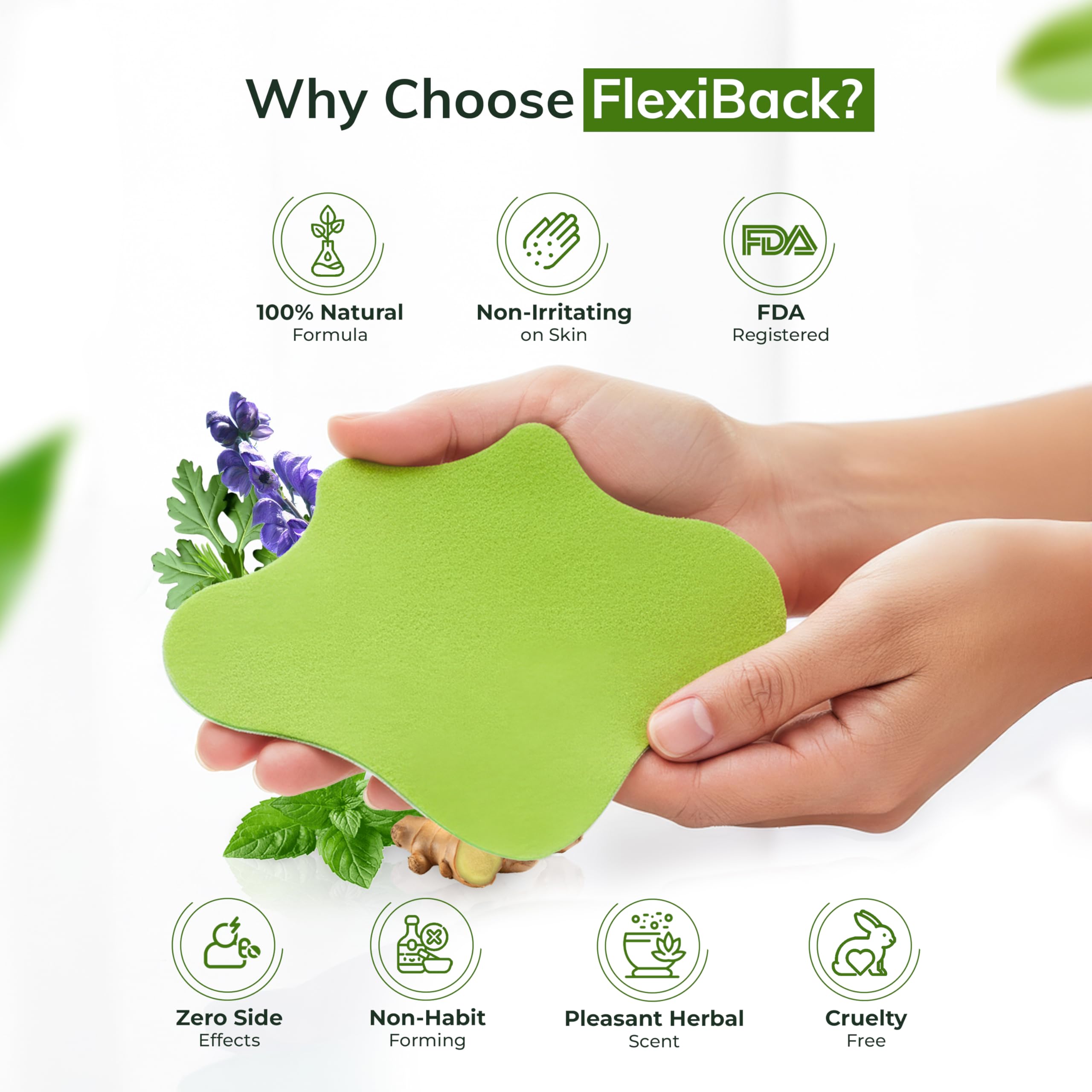 Ingrédient naturel et 9 herbes dans FlexiBack