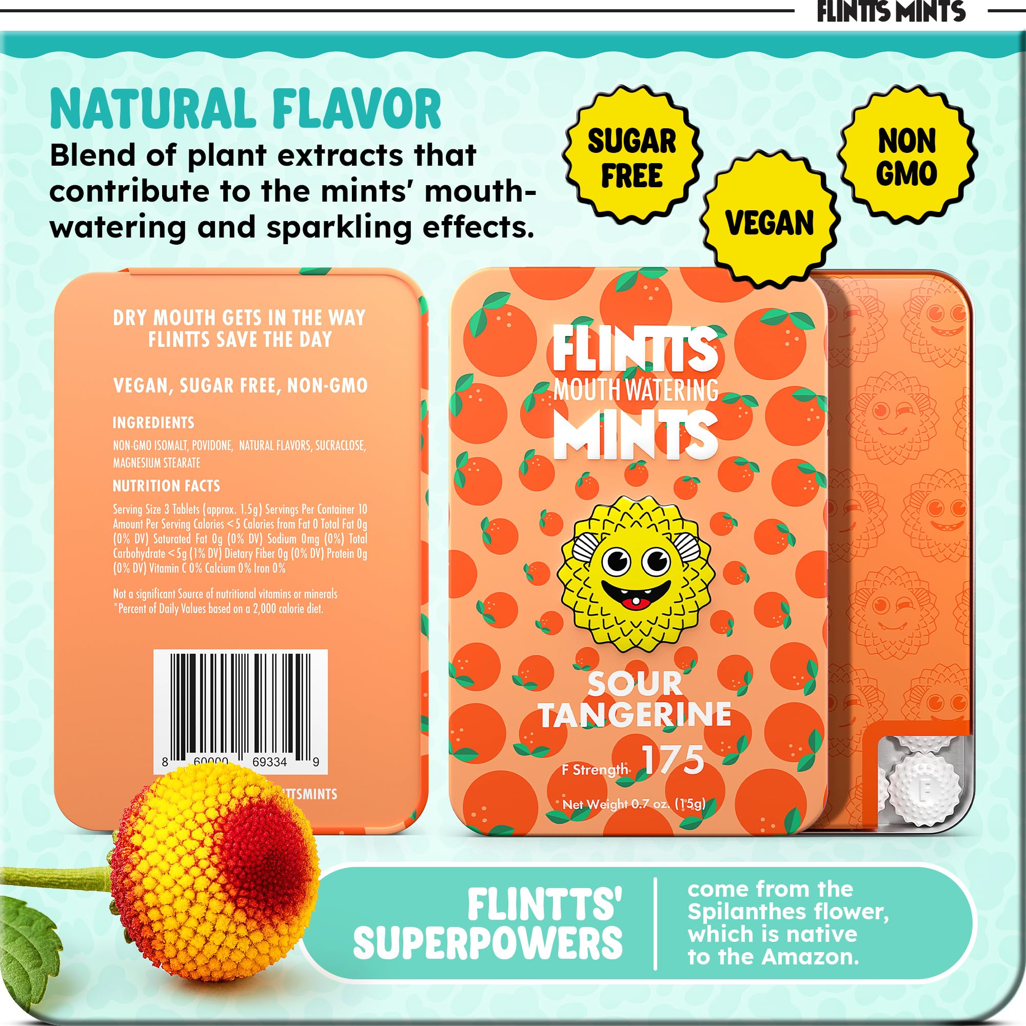 Flintts Mints Fruit Troop notes-fruitées: arômes citron et baies, rafraîchissent durablement.