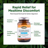 Flora Enzyme Blend: ingrédients enzymatiques facilitant l’absorption des nutriments