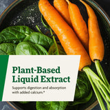 Floradix Calcium liquide – étiquette sans additifs sans alcool pour une expérience pure