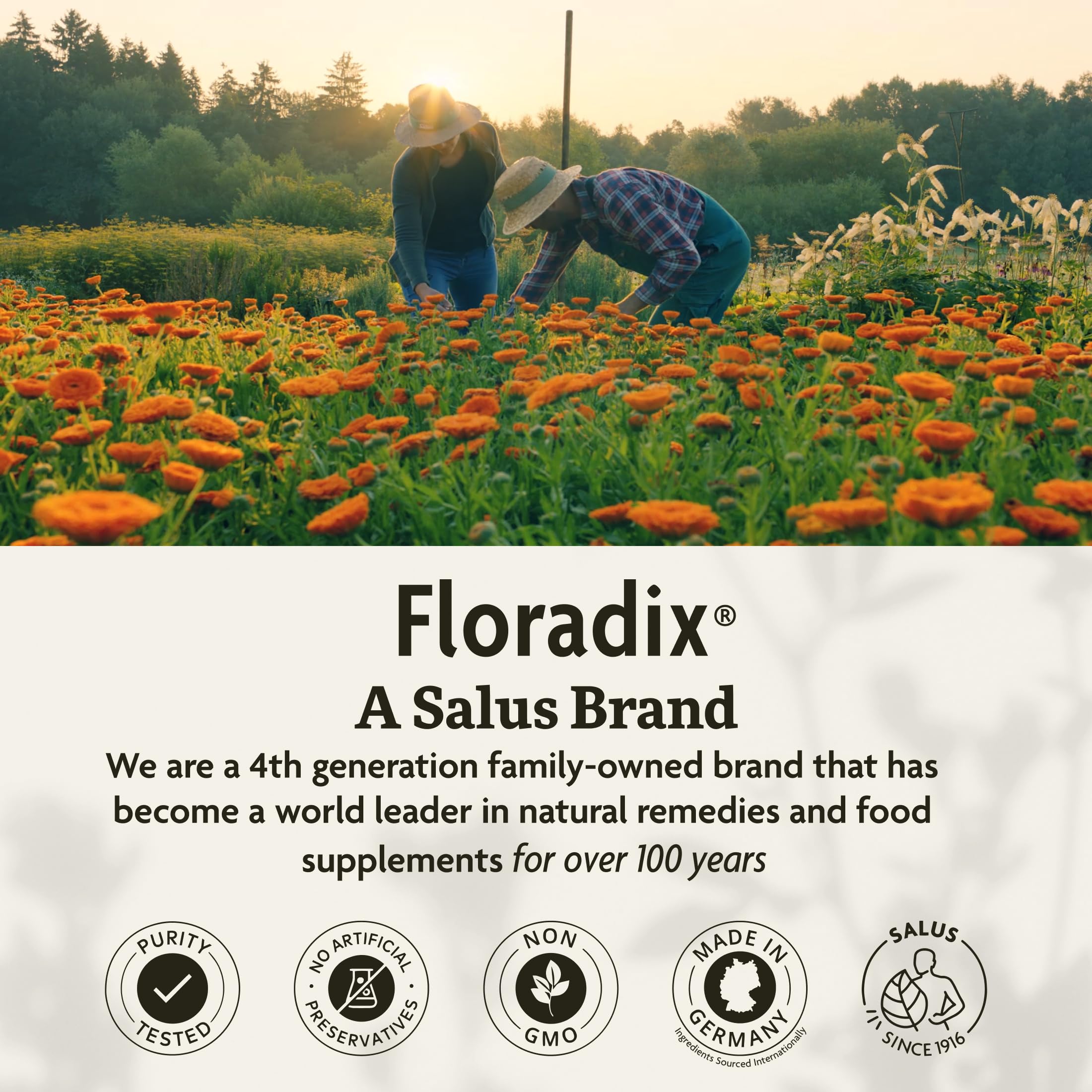 Floradix usage quotidien, facilité d'intégration dans la routine santé.