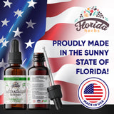 FLORIDA HERBS Astragalus: emballage-carton respectueux de l'environnement.