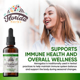 FLORIDA HERBS Astragalus: goutte-verre pour dosage simple et naturel.