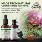 FLORIDA HERBS Astragalus: ingrédient bio et concentré pour une routine saine.