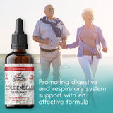 Ingrédients biologiques et véganes FLORIDA HERBS Goldenseal pour une routine naturelle