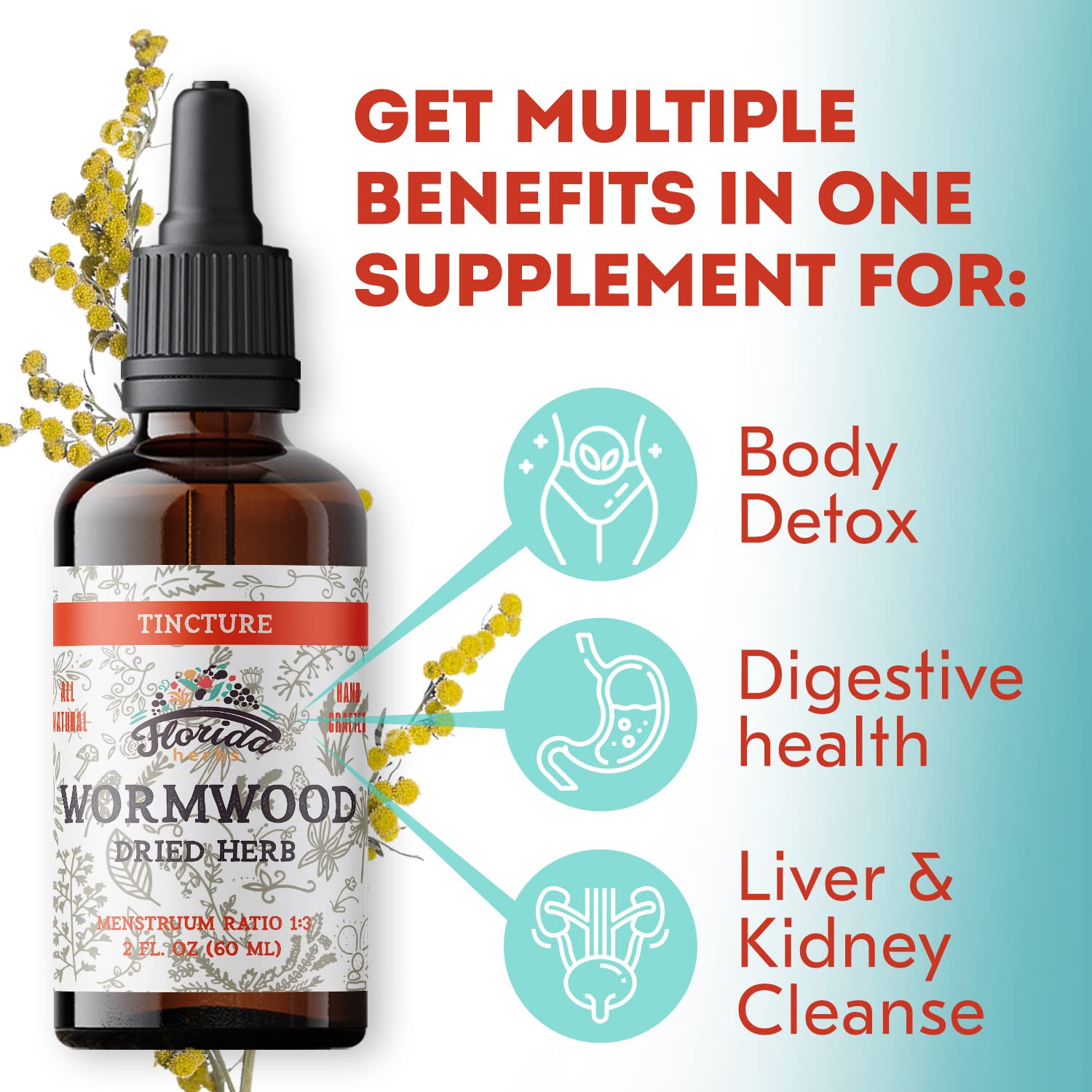 FLORIDA HERBS Gouttes Doseur Absinthe: dosage précis pour usage domestique.