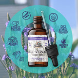 Florida Herbs verveine bleue - herbe sèche prête à infuser une boisson relaxante.