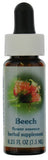 Flacon Beech de Flower Essence Services – flacon d'essence pour l'harmonisation émotionnelle au quotidien.