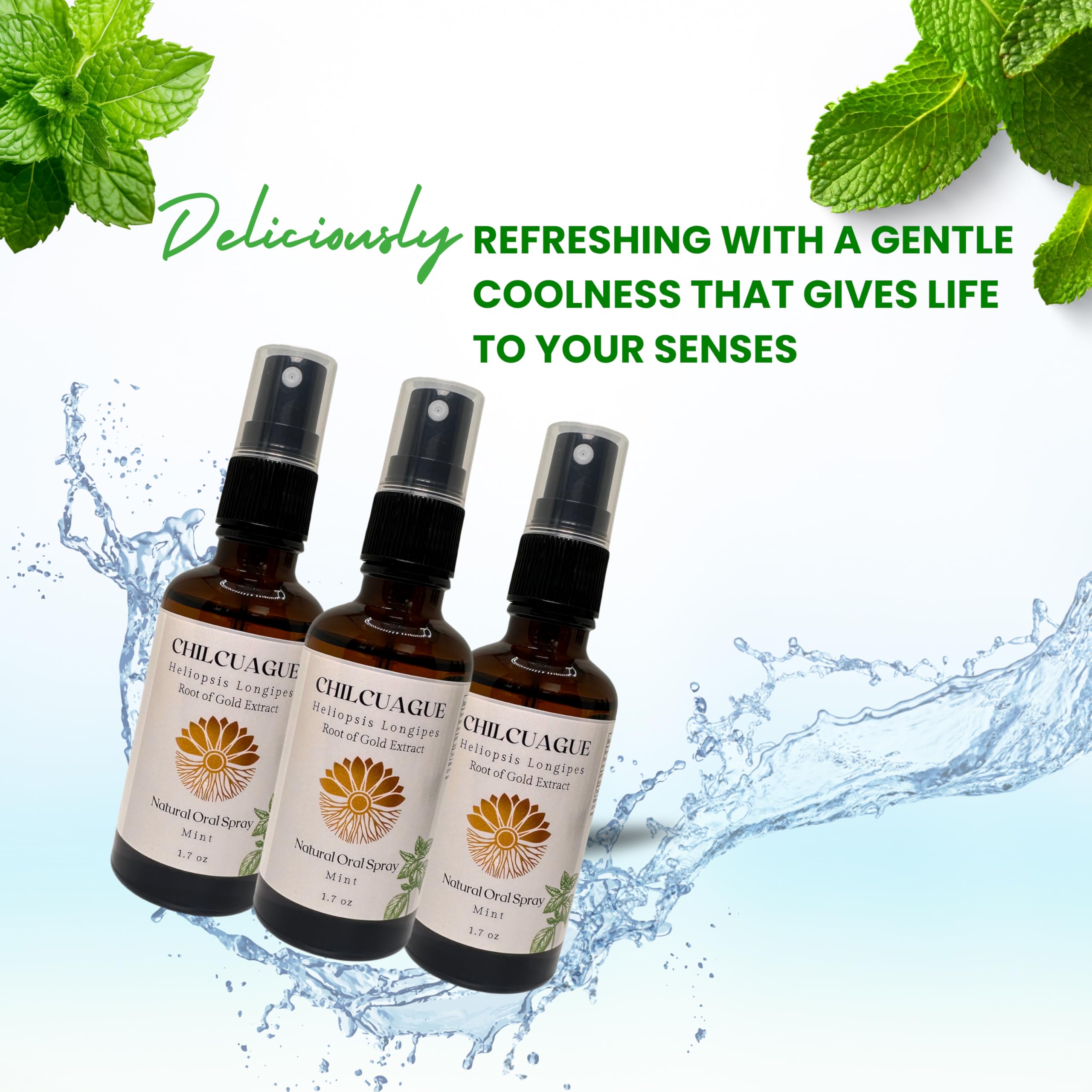 Emballage Flower & Song Chilcuague Menthe, design naturel et pratique.