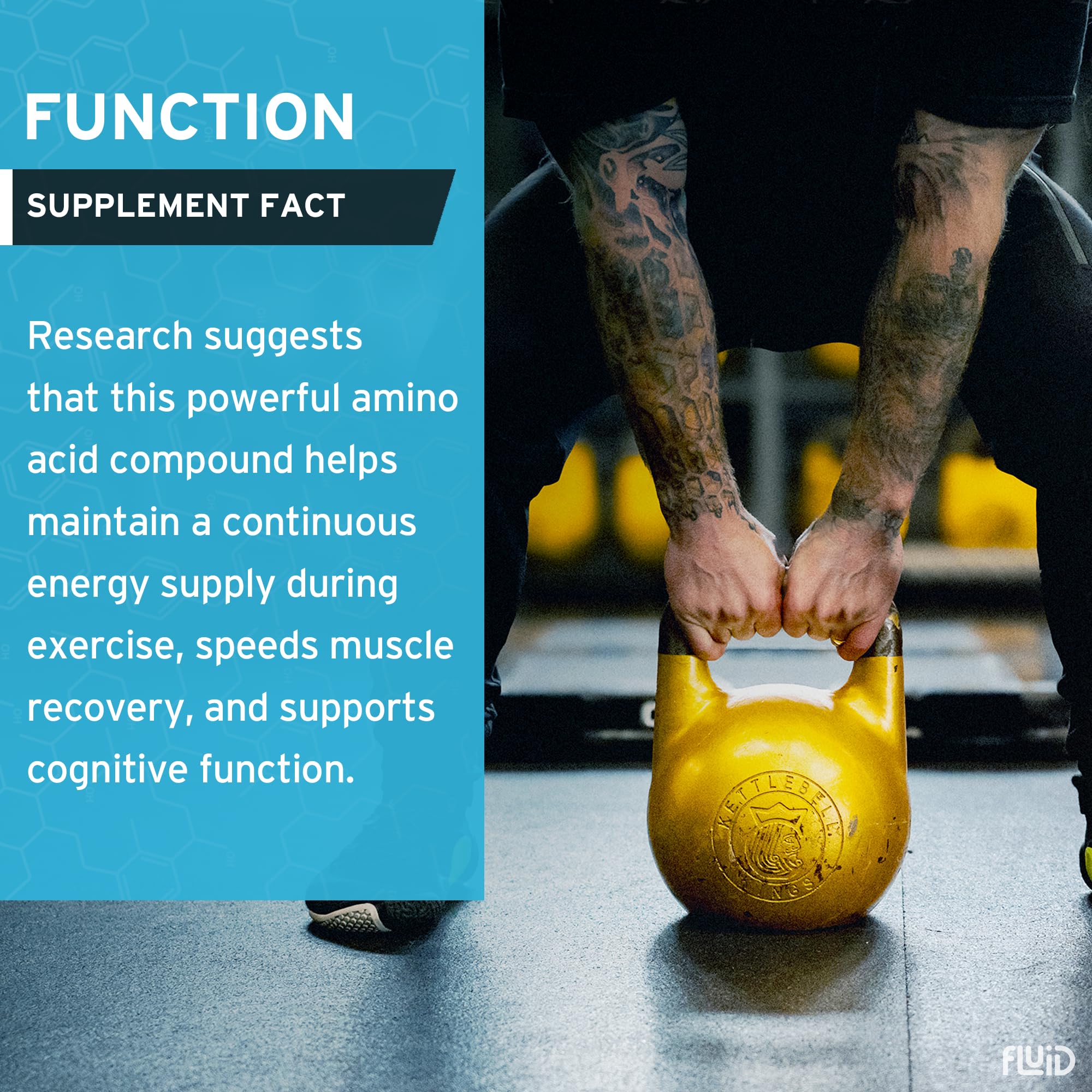 Fluid Creatine – variété végane et sans gluten, adaptée à divers régimes.