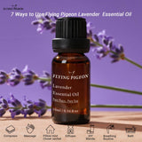 Diffuseur aromatique avec huile lavande Flying Pigeon – ambiance calme